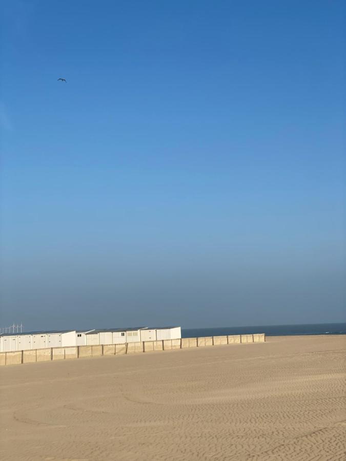 Knokke Summertime מראה חיצוני תמונה